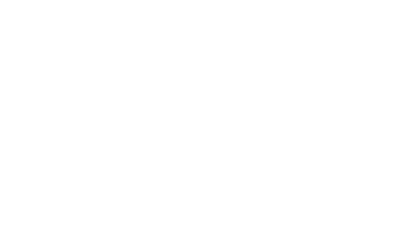 Grupo VISE